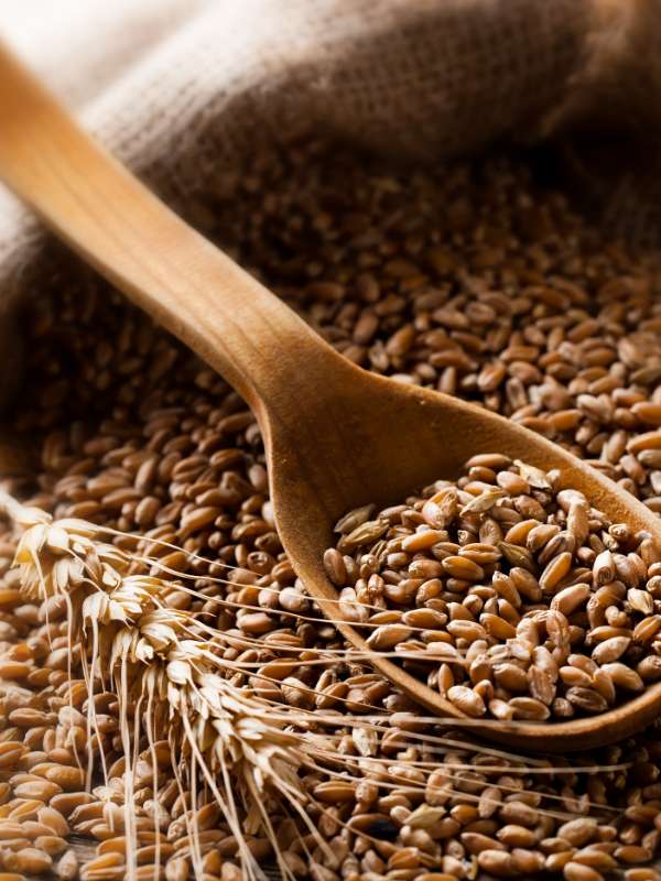 Gesund essen mit Genuss - Getreide